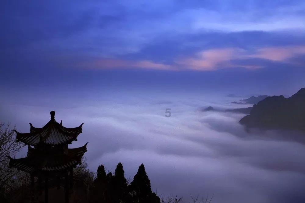 出实招求实效,让代表议案建议“开花结果”
